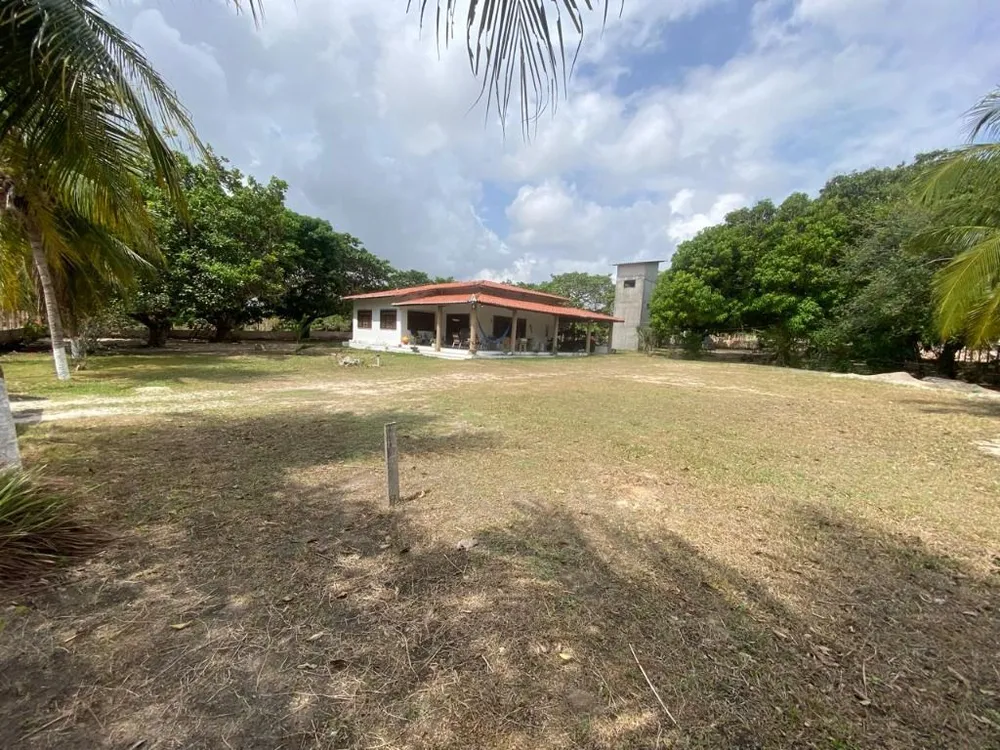 Sítio, 3 quartos, 3000 m² - Foto 1