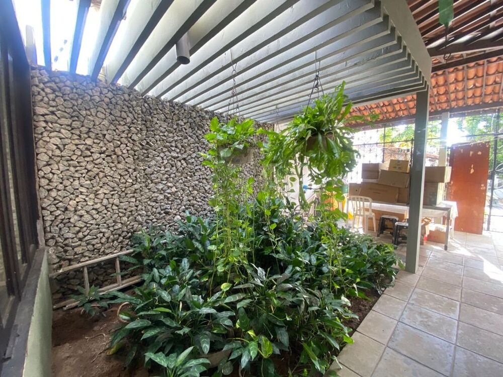 Casa, 5 quartos, 350 m² - Foto 3