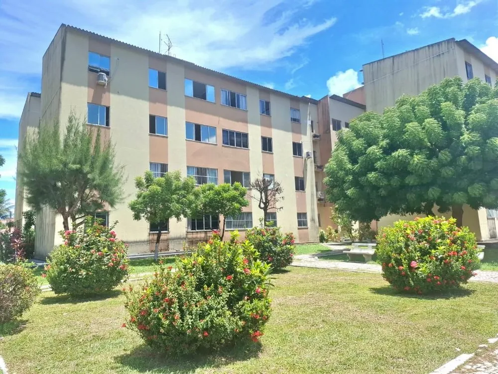 Apartamento, 3 quartos, 66 m² - Foto 8