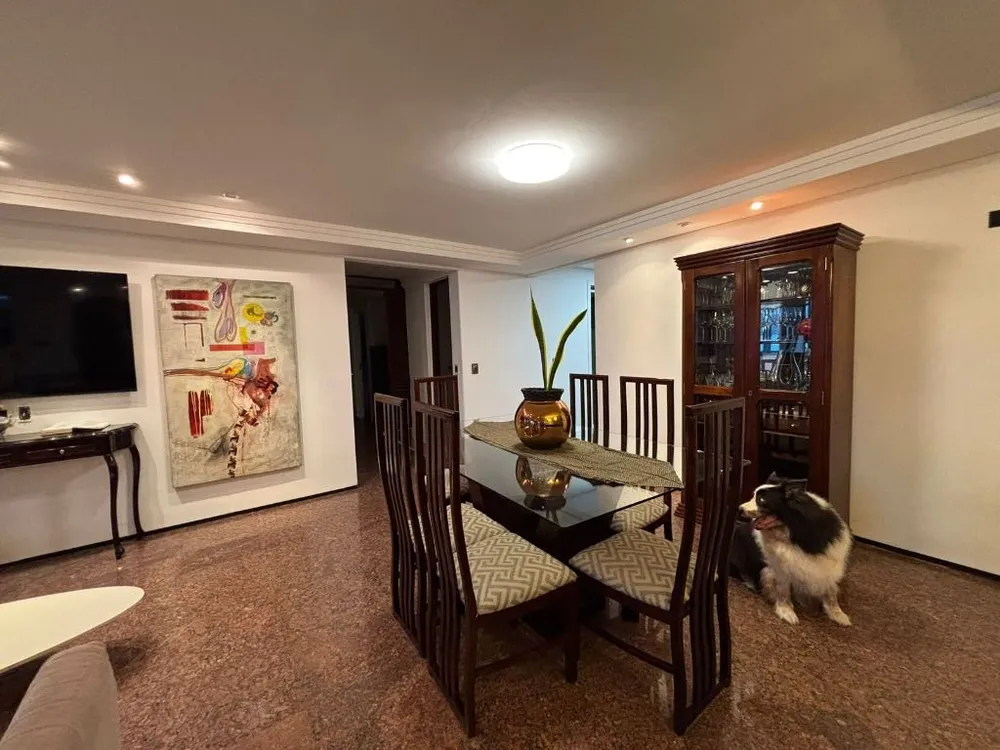 Apartamento, 3 quartos, 226 m² - Foto 4