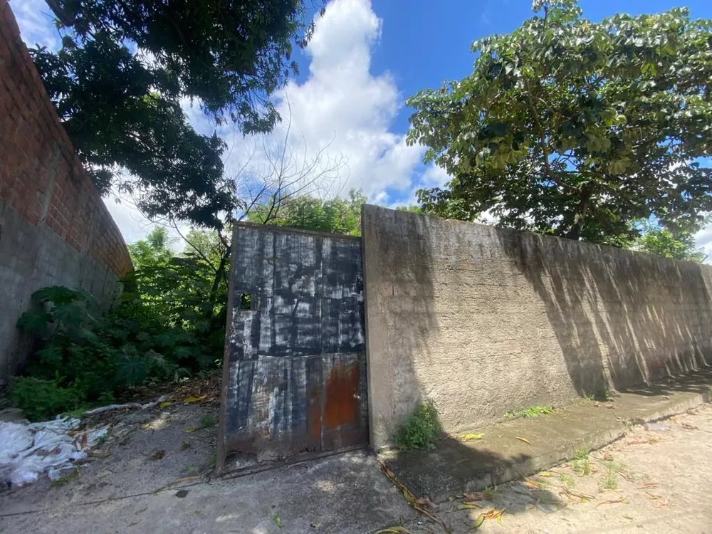 Casa, 5 quartos, 254 m² - Foto 13