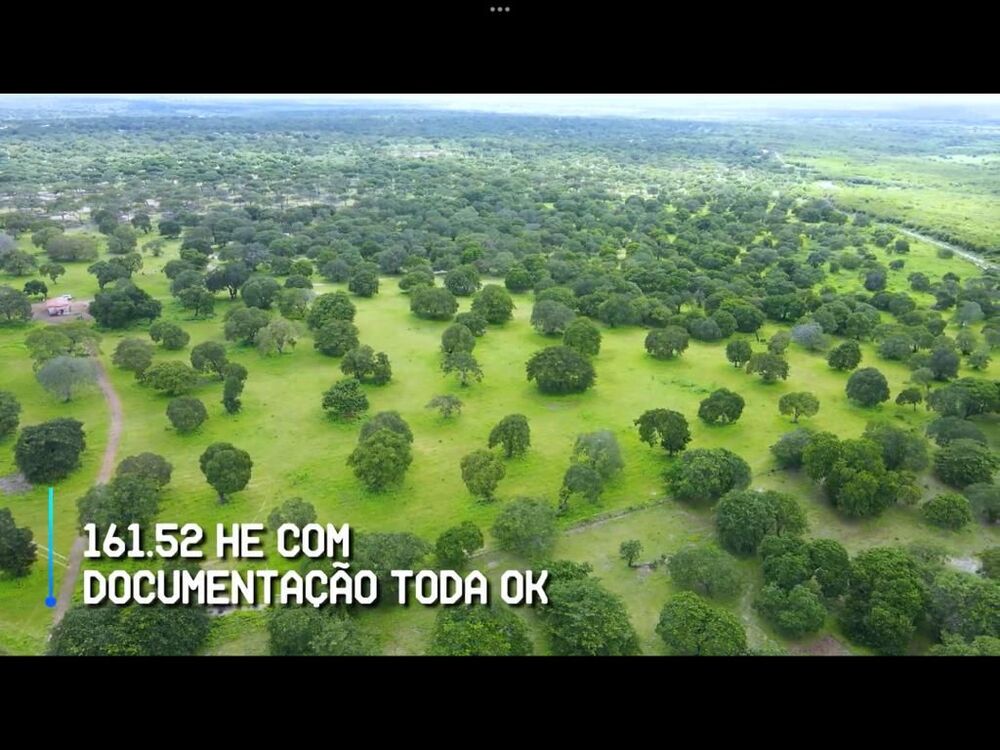 Terreno, 200 hectares - Foto 7