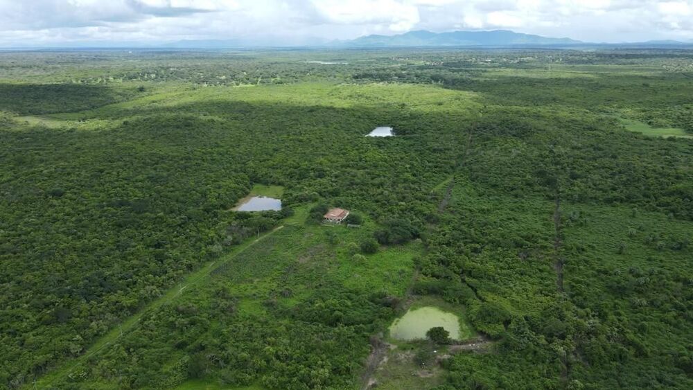Terreno, 200 hectares - Foto 4