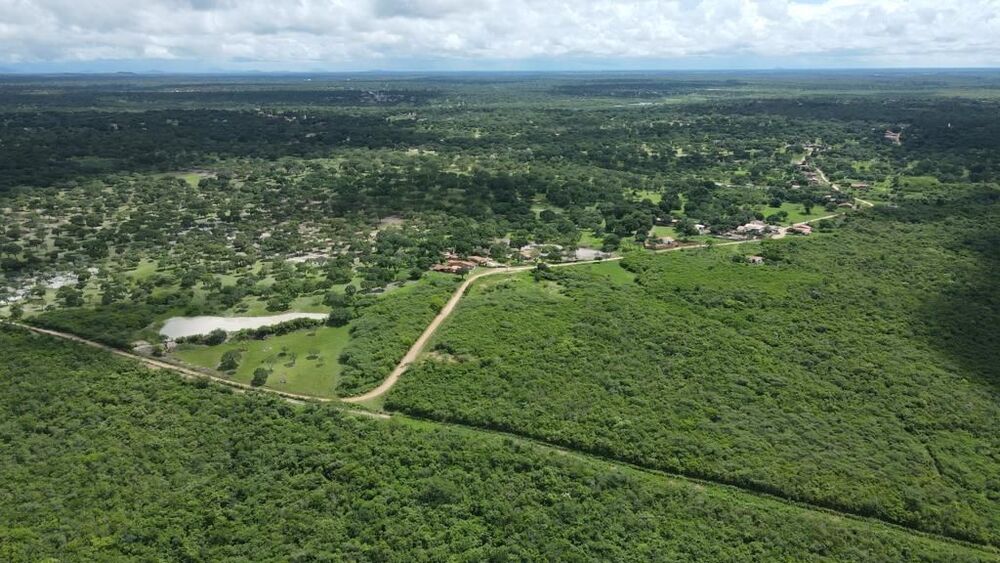 Terreno, 200 hectares - Foto 19