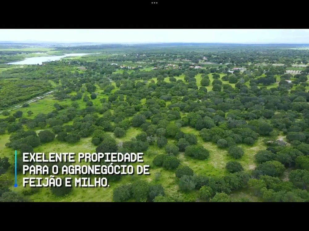 Terreno, 200 hectares - Foto 8