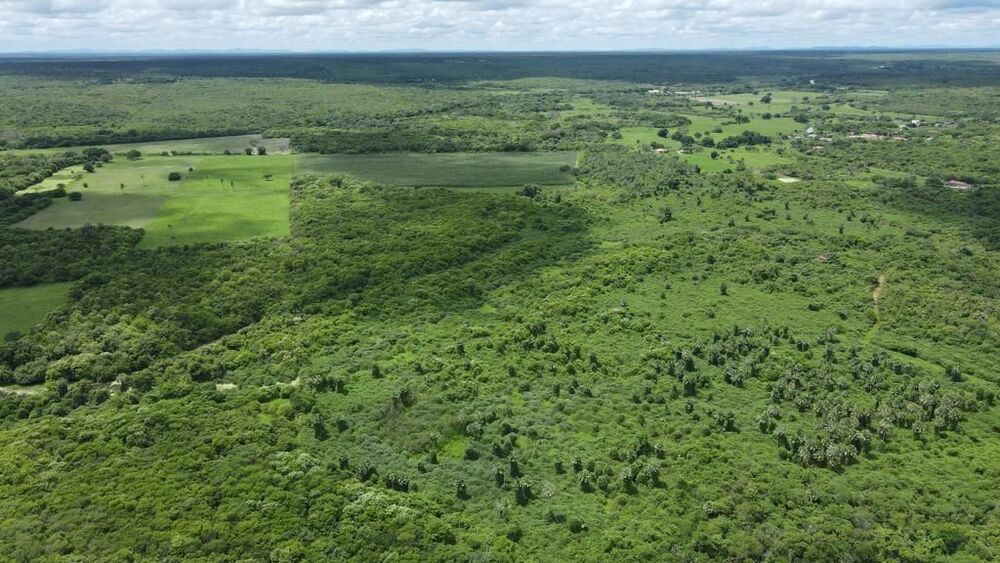Terreno, 200 hectares - Foto 2