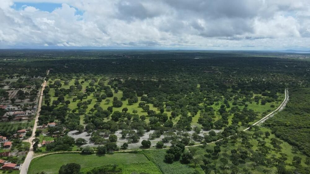 Terreno, 200 hectares - Foto 13