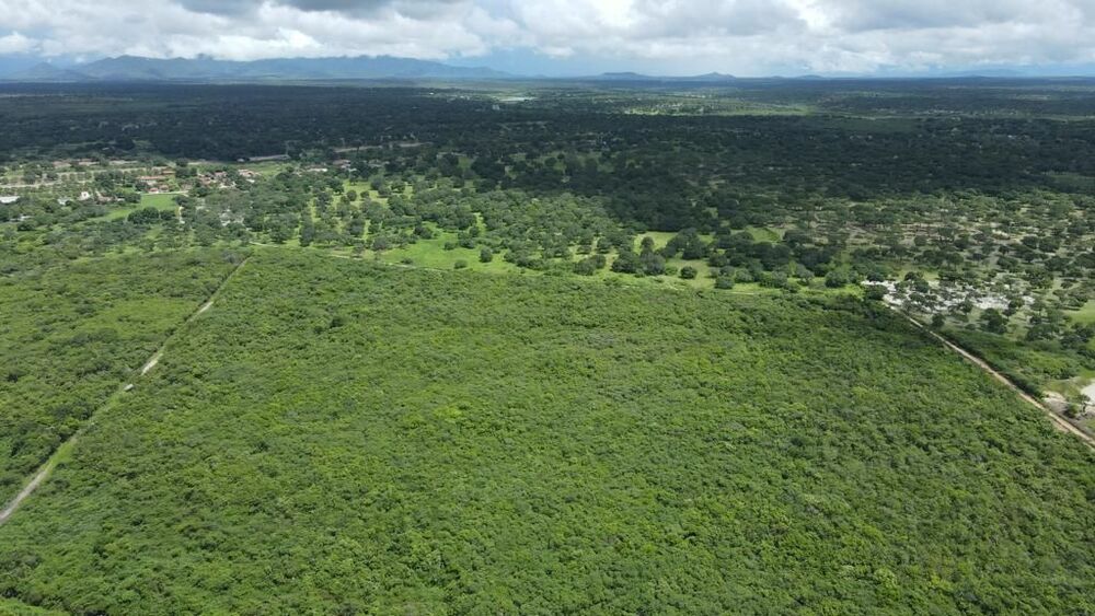 Terreno, 200 hectares - Foto 20