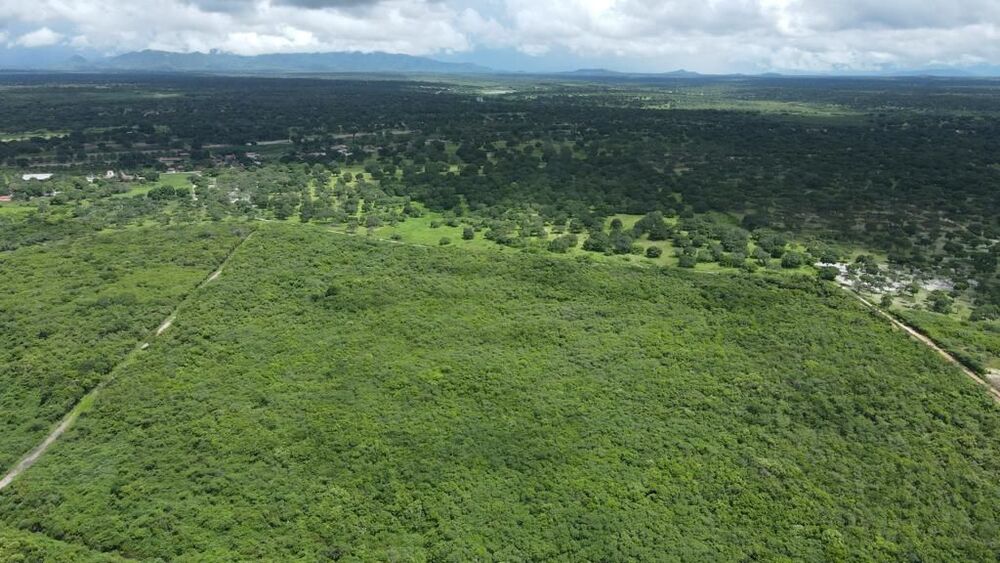 Terreno, 200 hectares - Foto 17