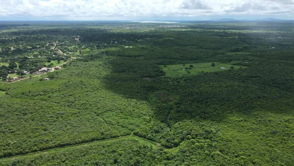Terreno, 200 hectares - Foto 18