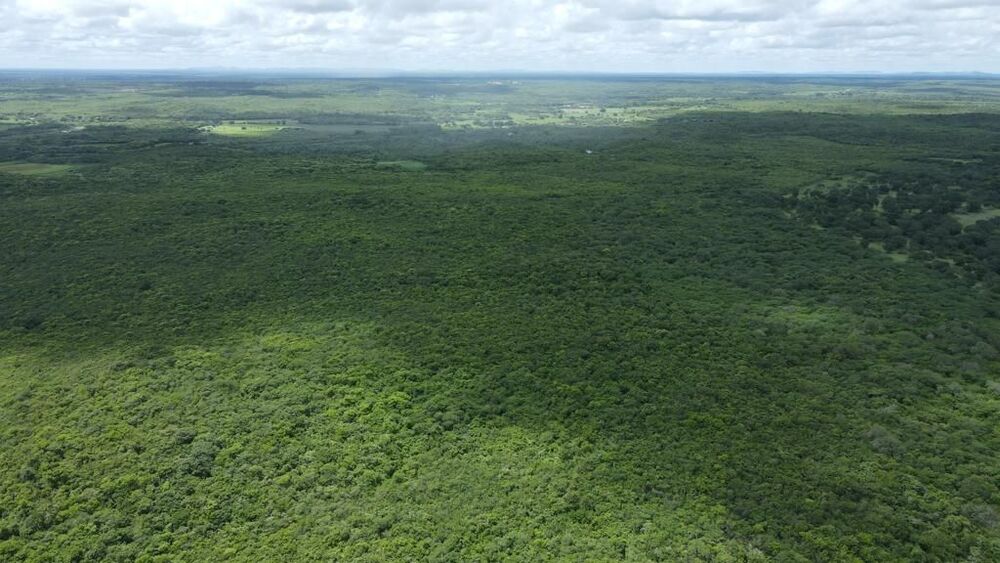 Terreno, 200 hectares - Foto 16