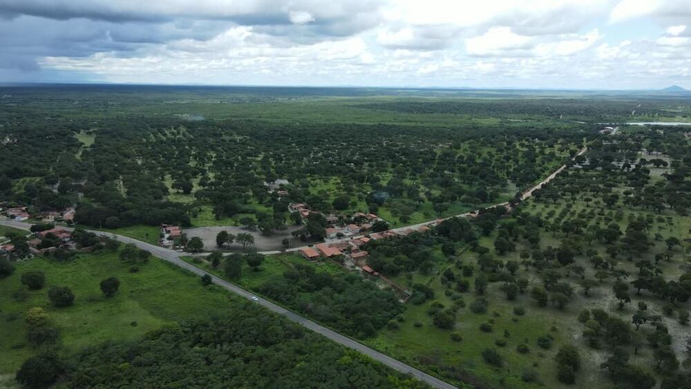 Terreno, 200 hectares - Foto 5