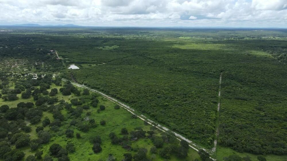 Terreno, 200 hectares - Foto 14