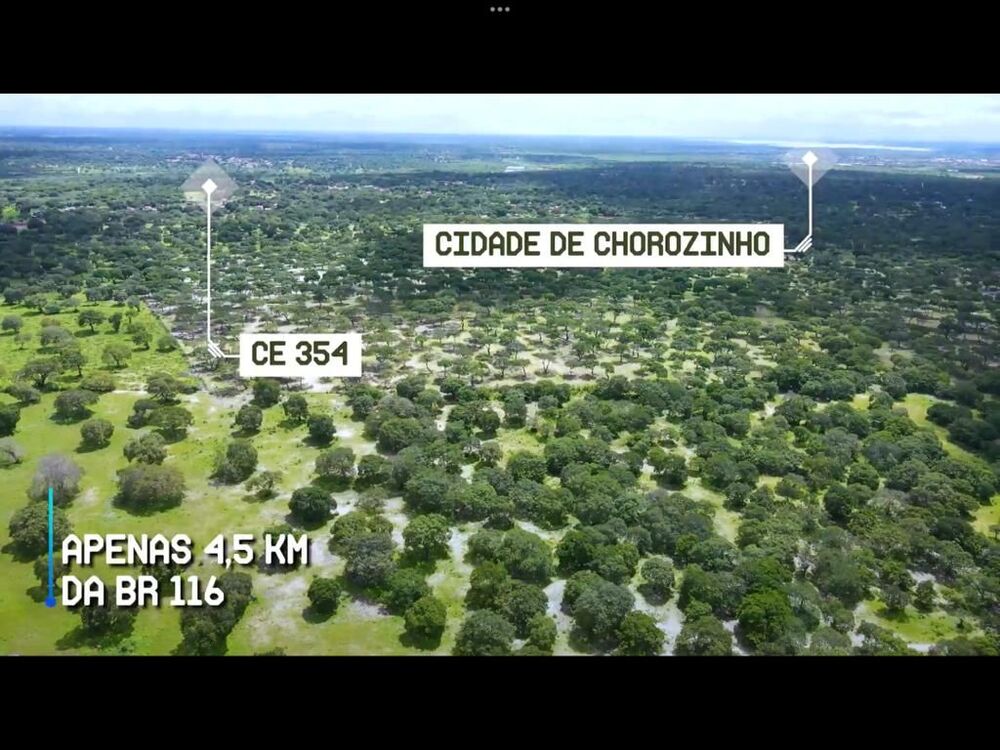 Terreno, 200 hectares - Foto 11