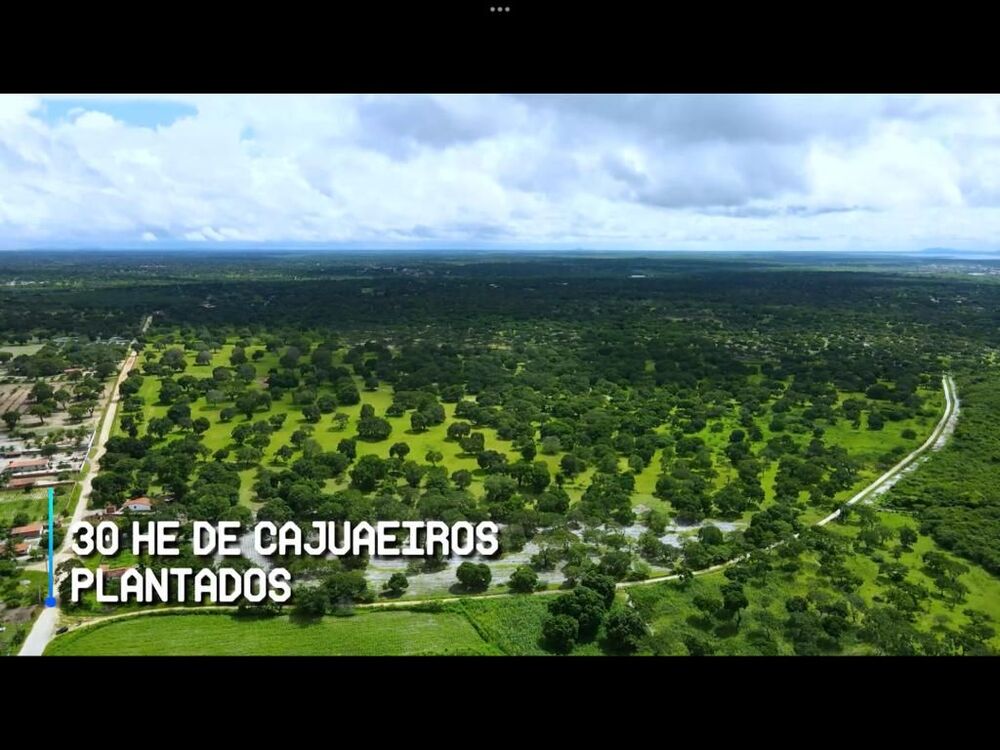 Terreno, 200 hectares - Foto 6