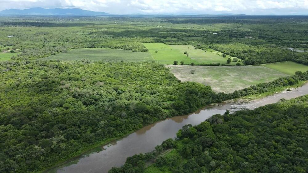 Terreno, 200 hectares - Foto 3