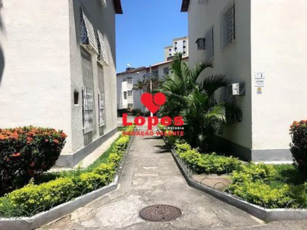 Apartamento, 3 quartos, 65 m² - Foto 5