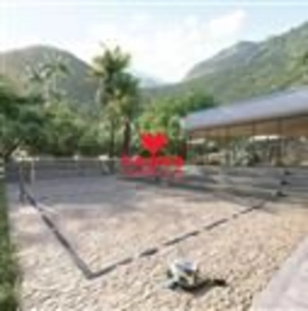 Casa, 4 quartos, 280 m² - Foto 10