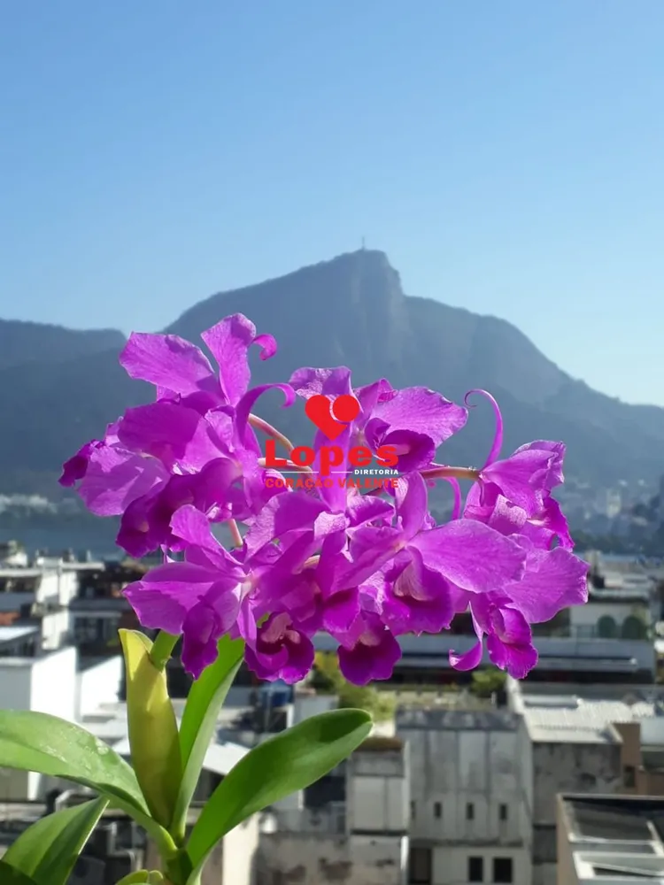Apartamento, 3 quartos, 146 m² - Foto 22