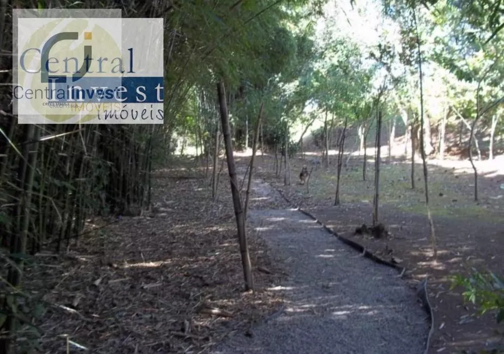 Terreno, 250 m² - Foto 3