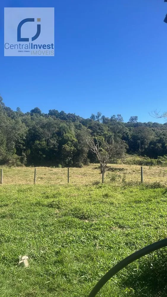 Terreno, 2 hectares - Foto 4