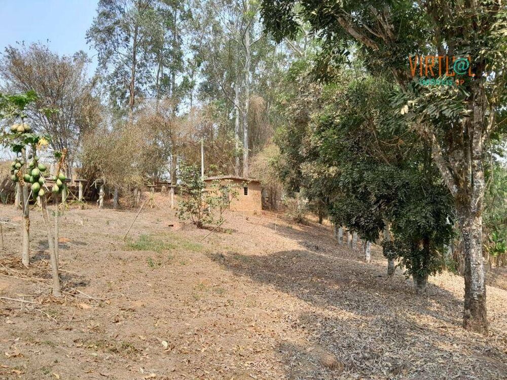 Sítio à venda com 6 quartos, 25800M2 - Foto 7