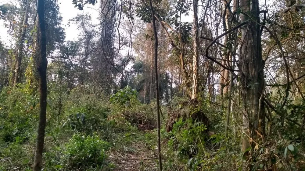 Loteamento e Condomínio, 500 m² - Foto 3