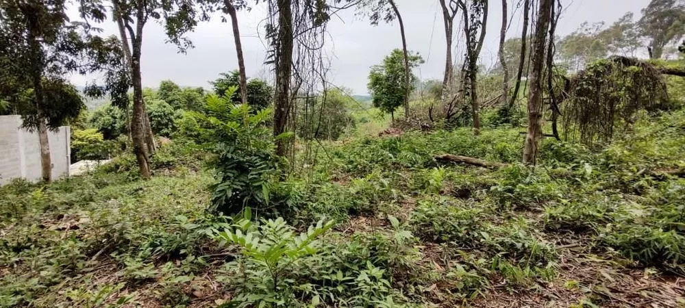 Loteamento e Condomínio à venda, 500m² - Foto 3