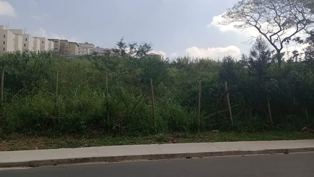 Terreno, 1629 m² - Foto 4