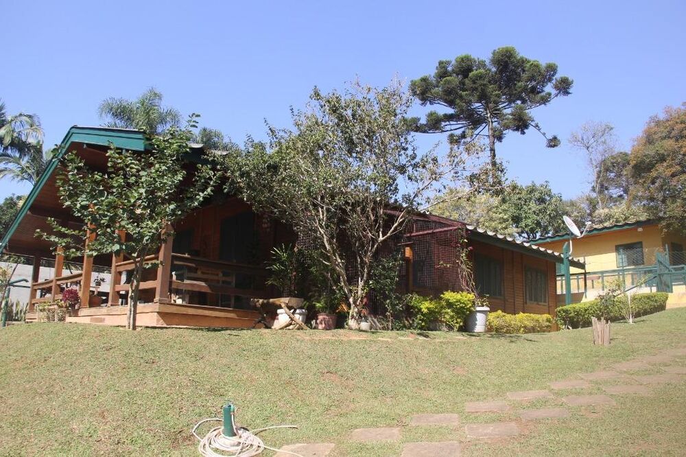 Terreno, 6195 m² - Foto 3