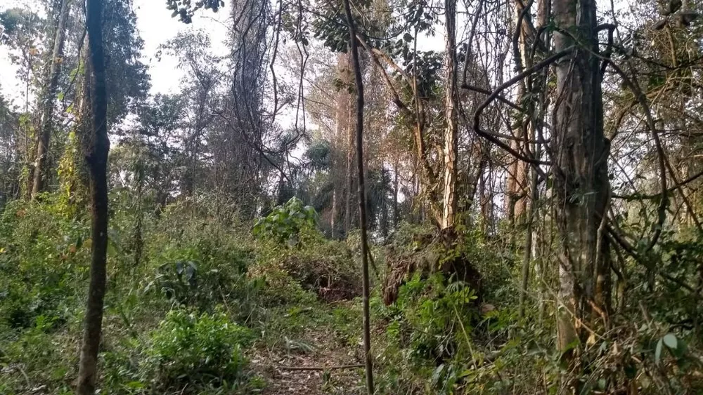 Loteamento e Condomínio, 500 m² - Foto 1
