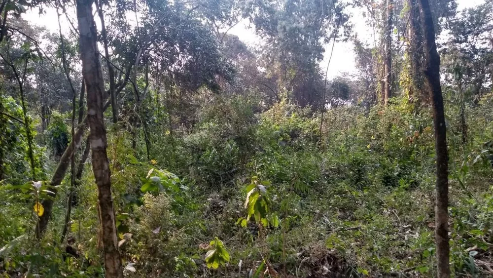 Loteamento e Condomínio, 500 m² - Foto 2