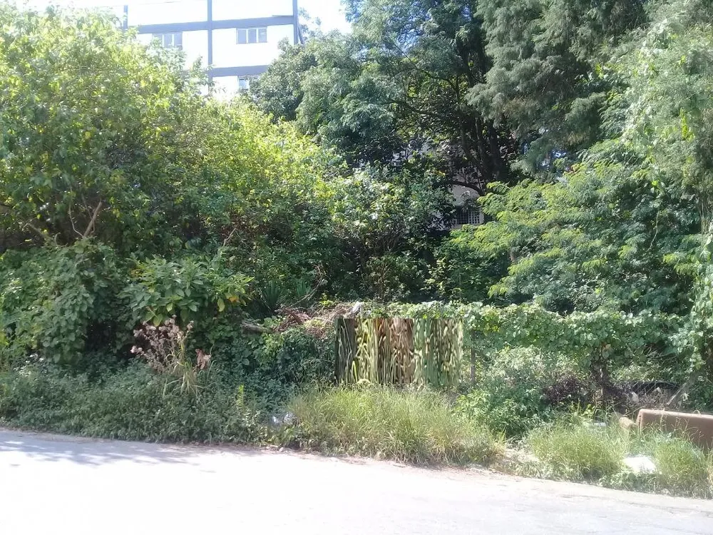 Loteamento e Condomínio, 346 m² - Foto 2