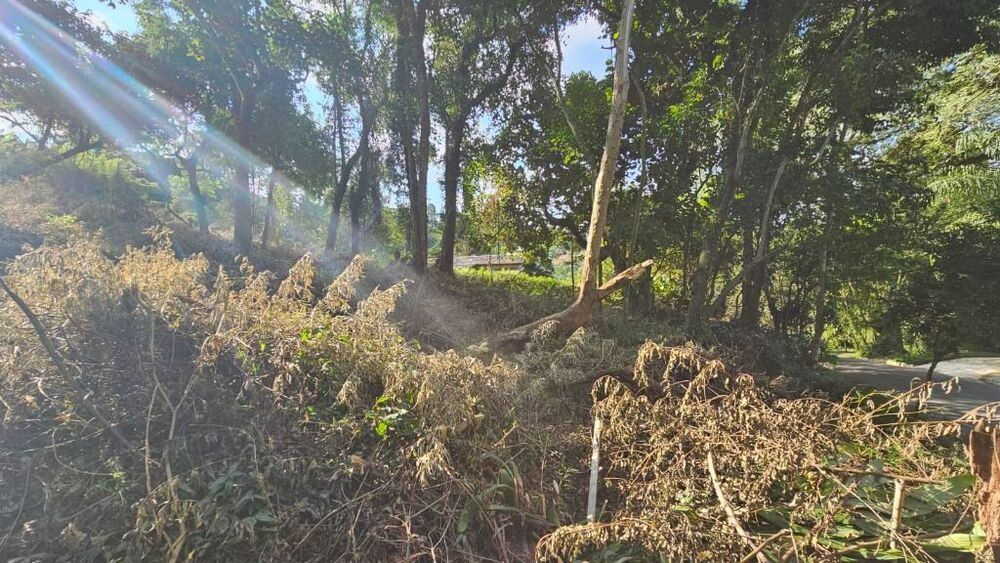 Loteamento e Condomínio, 1500 m² - Foto 3