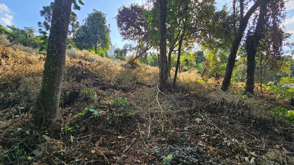 Loteamento e Condomínio, 1500 m² - Foto 2