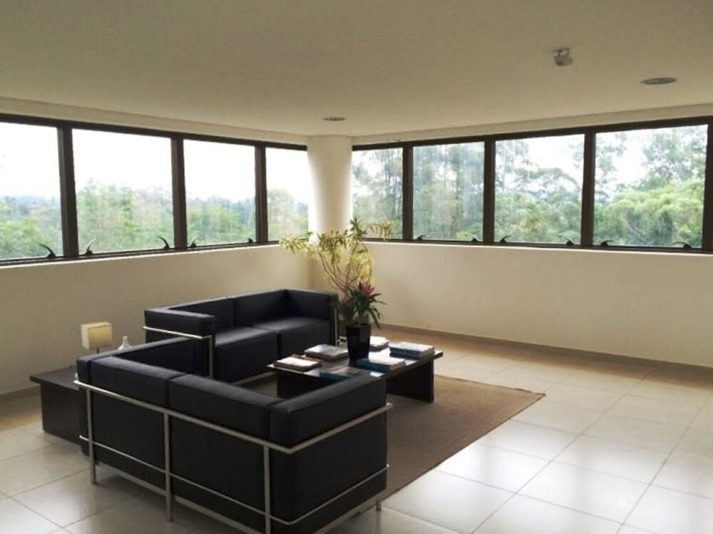 Sala-Conjunto, 295 m² - Foto 2