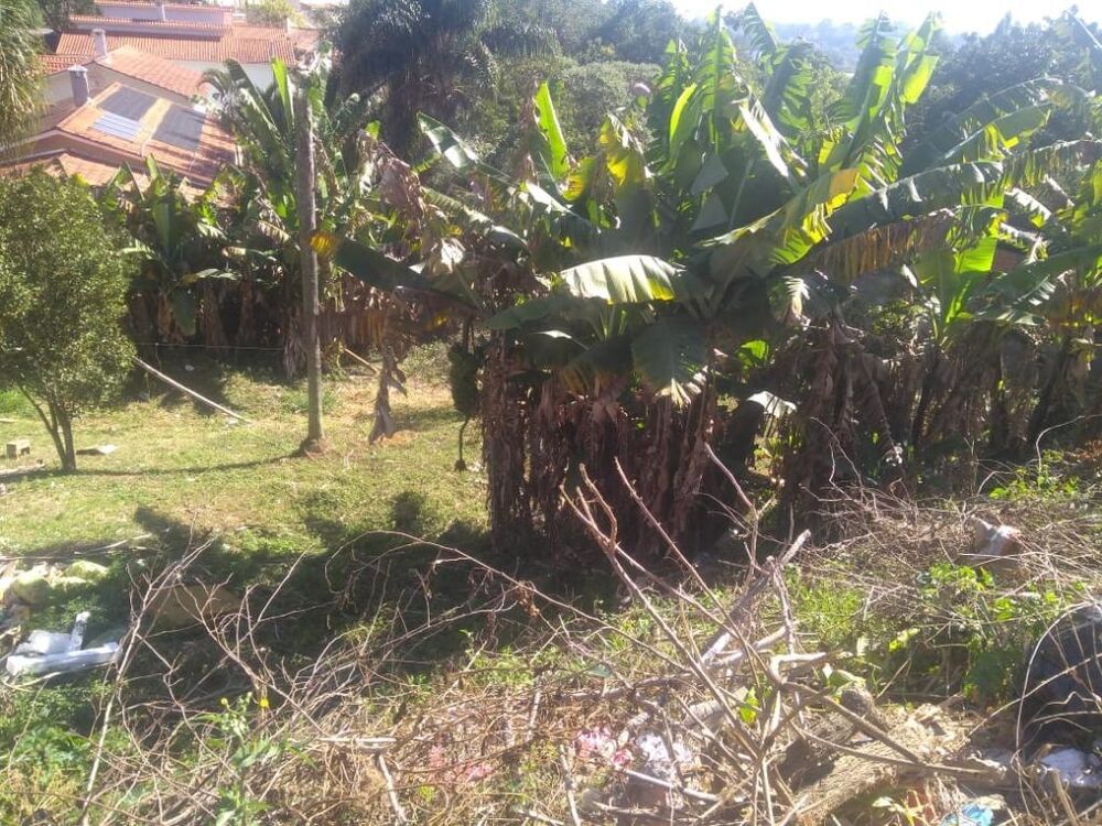 Terreno, 250 m² - Foto 3
