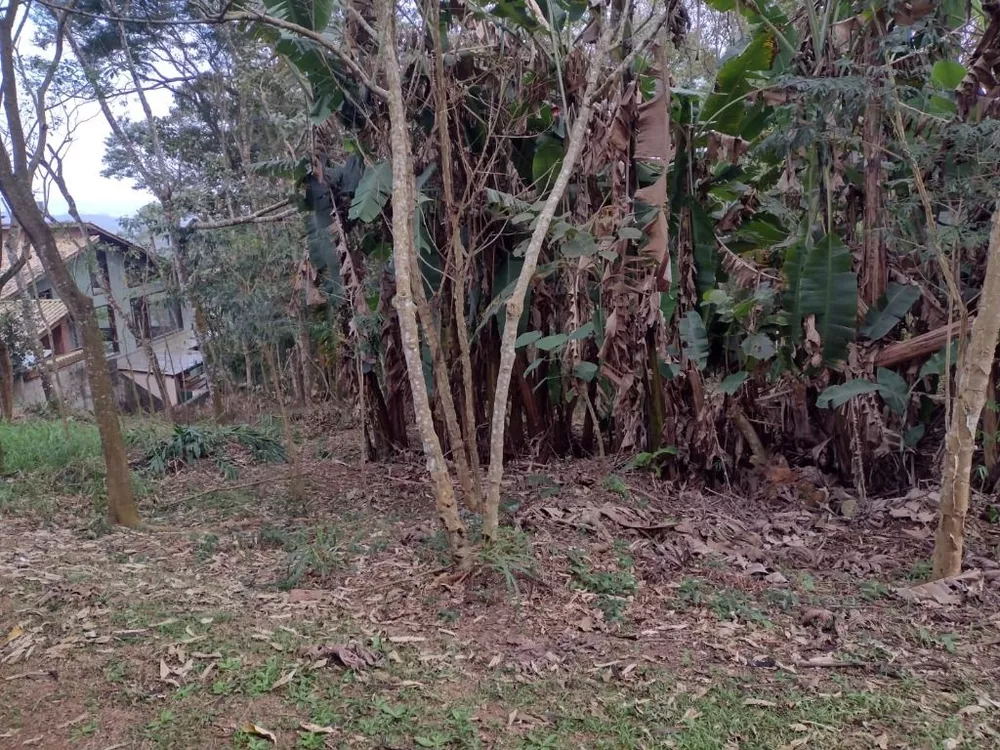 Loteamento e Condomínio, 704 m² - Foto 4