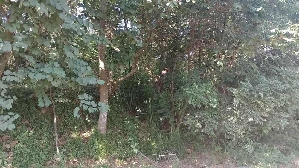 Loteamento e Condomínio à venda, 3523m² - Foto 4