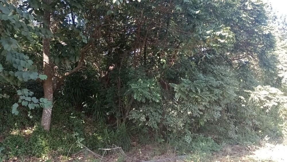 Loteamento e Condomínio à venda, 3523m² - Foto 3
