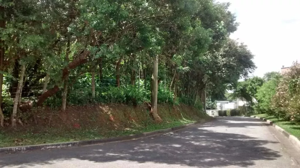 Terreno, 10000 m² - Foto 1