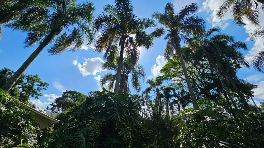 Casa de Condomínio - Foto 33