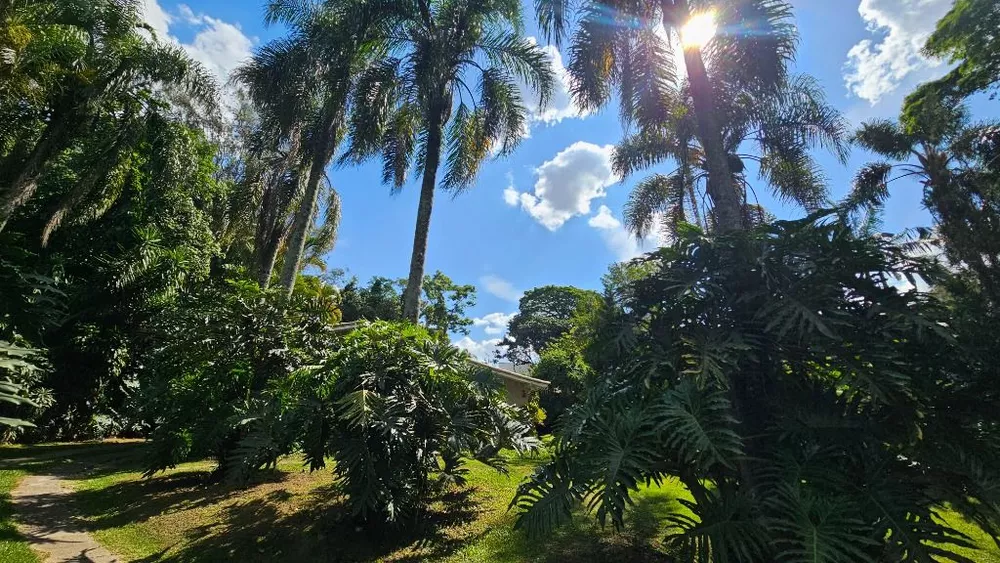 Casa de Condomínio - Foto 32
