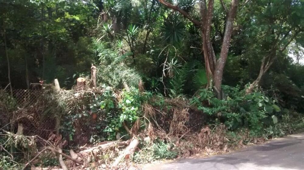 Loteamento e Condomínio, 2700 m² - Foto 4