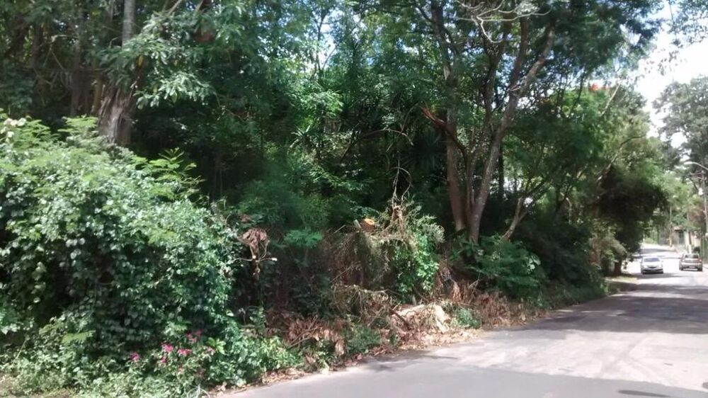 Loteamento e Condomínio, 2700 m² - Foto 3