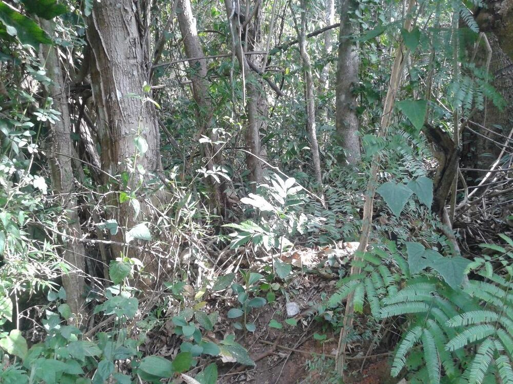 Loteamento e Condomínio, 480 m² - Foto 6