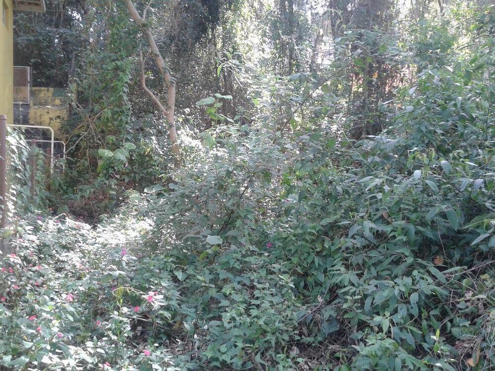 Loteamento e Condomínio, 480 m² - Foto 3