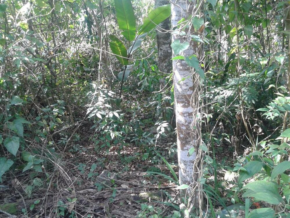 Loteamento e Condomínio, 480 m² - Foto 4