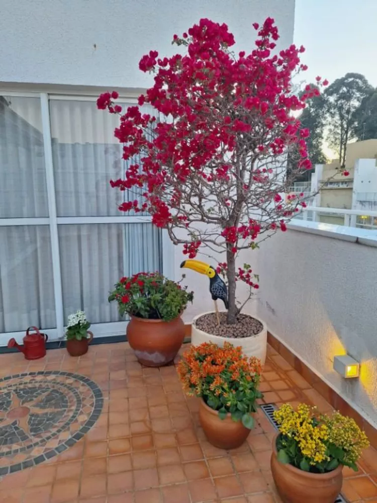 Apartamento, 3 quartos, 183 m² - Foto 11
