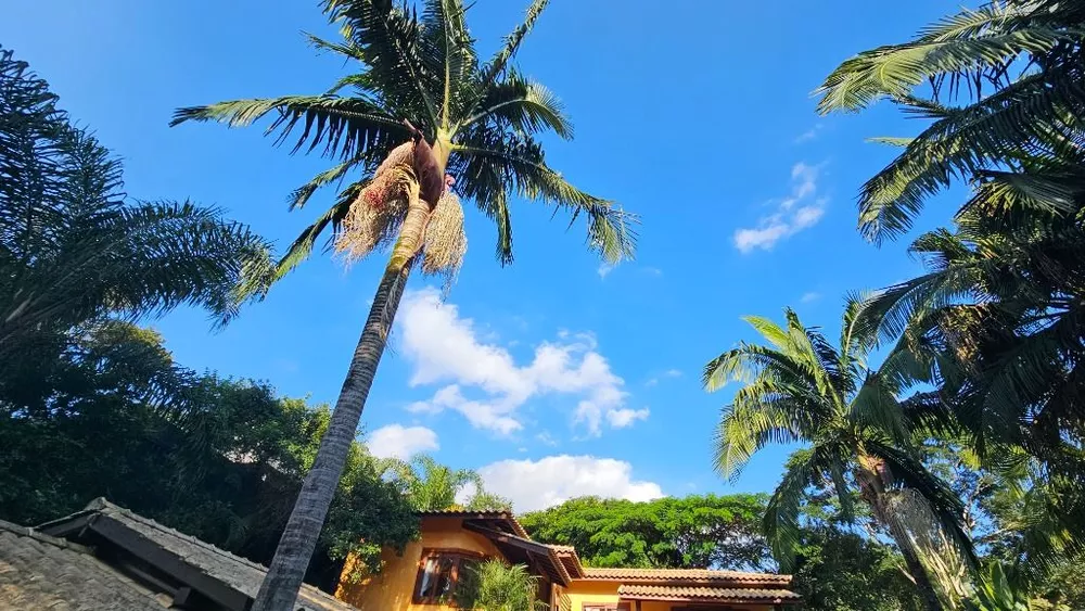 Casa de Condomínio, 4 quartos - Foto 8